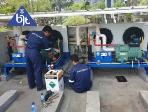 Mengenal Teknologi Cold Storage dan Manfaatnya bagi Industri Makanan & Minuman